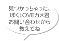見つかっちゃった、ぼくLOVEカメ君お問い合わせから教えてね